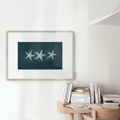 This Beach Poster Print  art work featuring a starfish trilogy on a dark background. This beach house style is perfect for creating a coastal retreat.