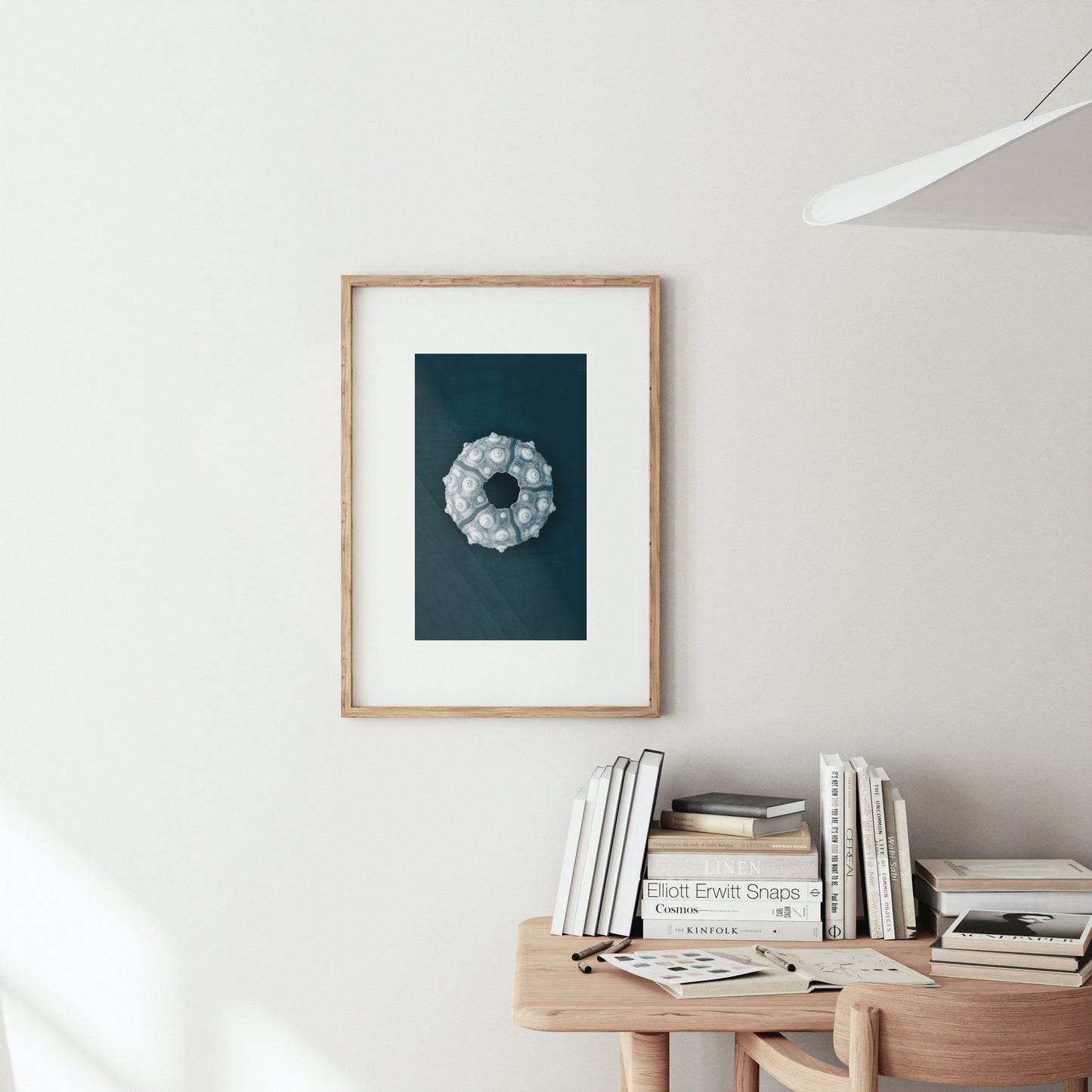 This Beach Poster Print  art work featuring a Imperial Sea Urchin on a dark background. This beach house style is perfect for creating a coastal retreat.