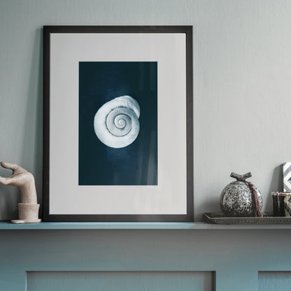 This Beach Poster Print  art work featuring a Conch Hermit Crab Shell on a dark background. This beach house style is perfect for creating a coastal retreat.