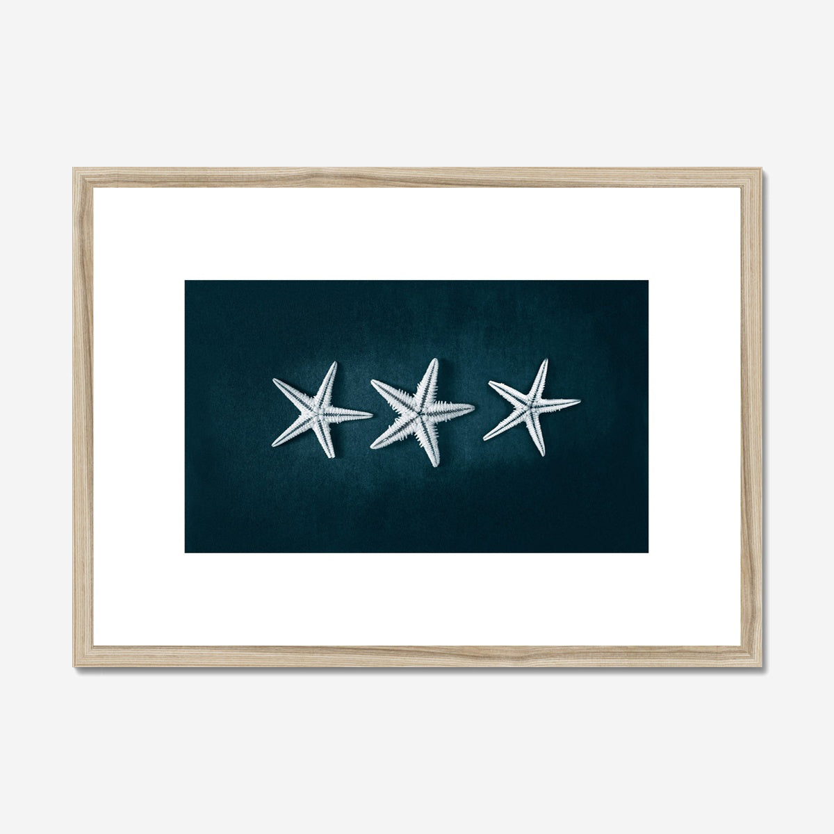 This Beach Poster Print  art work featuring a starfish trilogy on a dark background. This beach house style is perfect for creating a coastal retreat.