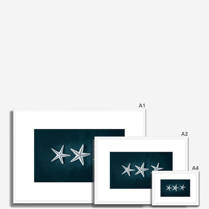 This Beach Poster Print  art work featuring a starfish trilogy on a dark background. This beach house style is perfect for creating a coastal retreat.