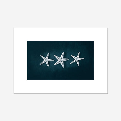 This Beach Poster Print  art work featuring a starfish trilogy on a dark background. This beach house style is perfect for creating a coastal retreat.