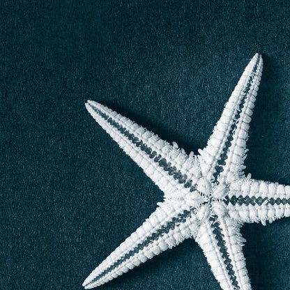 This Beach Poster Print  art work featuring a starfish trilogy on a dark background. This beach house style is perfect for creating a coastal retreat.