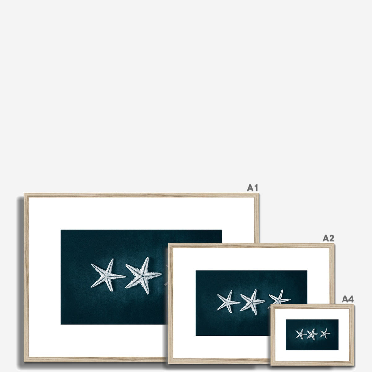 This Beach Poster Print  art work featuring a starfish trilogy on a dark background. This beach house style is perfect for creating a coastal retreat.