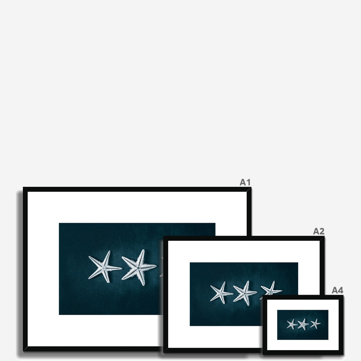 This Beach Poster Print  art work featuring a starfish trilogy on a dark background. This beach house style is perfect for creating a coastal retreat.