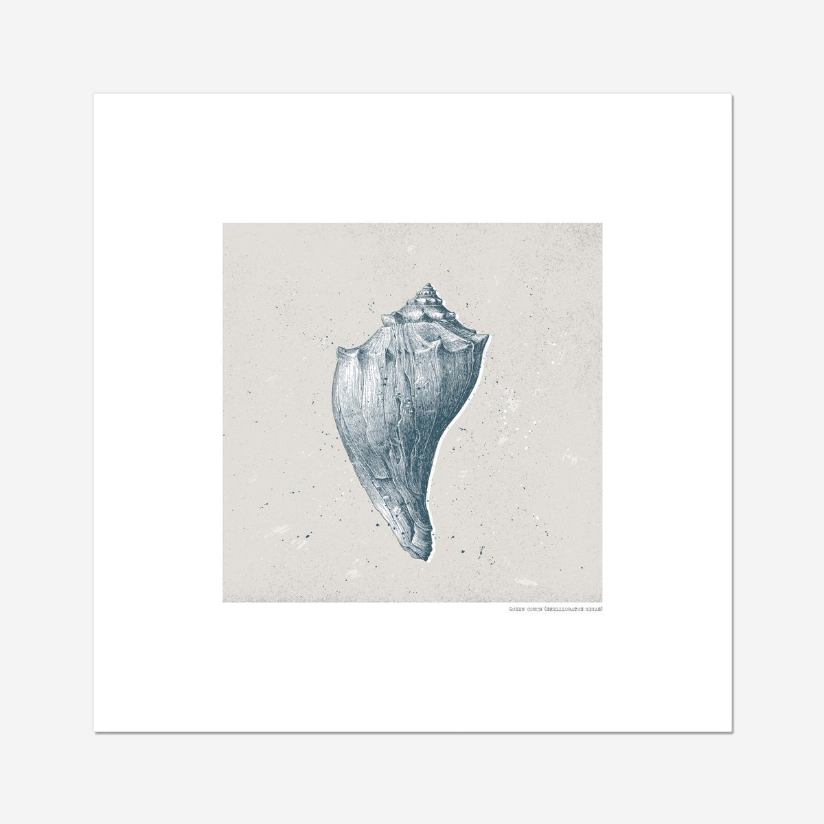 Vintage Conch Shell on Stone