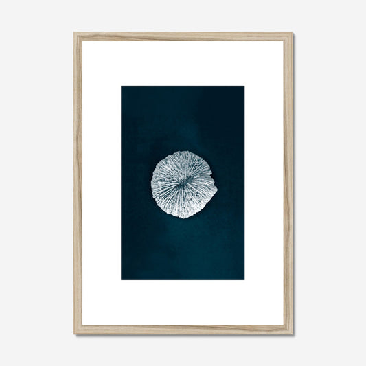 This Beach Poster Print  art work featuring vintage mushroom coral on a dark background. This beach house style is perfect for creating a coastal retreat.