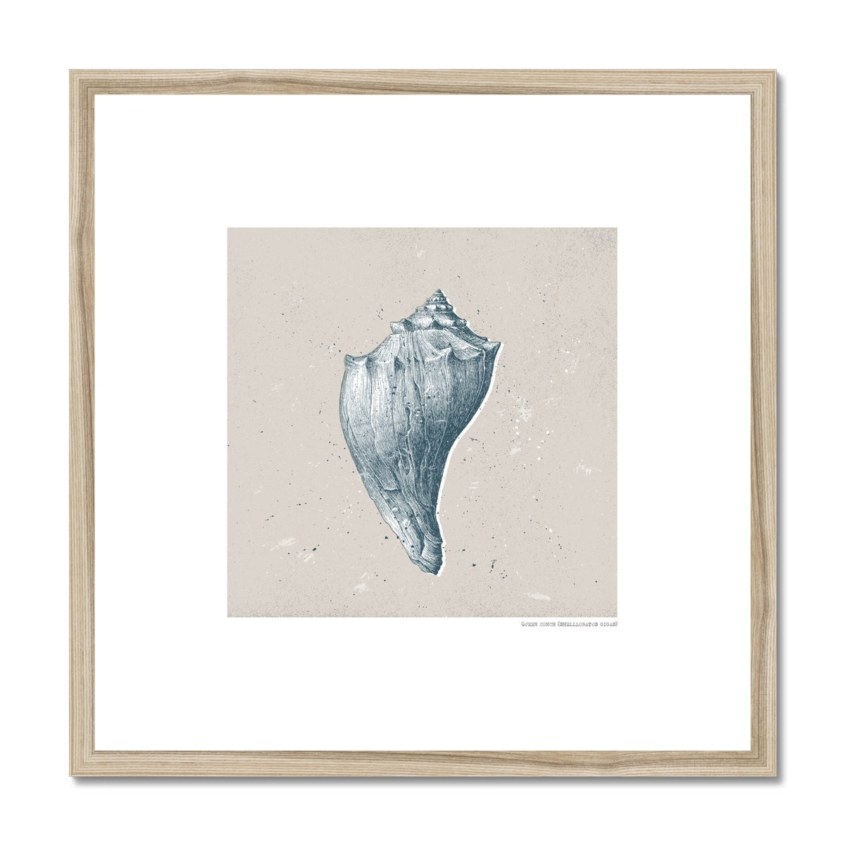 Vintage Conch Shell on Stone Framed Print