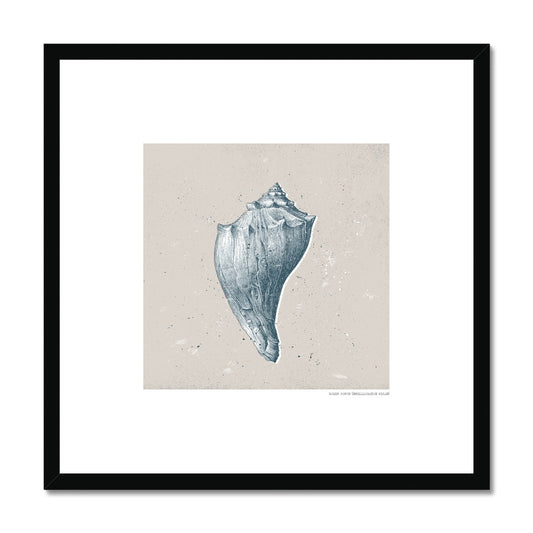 Vintage Conch Shell on Stone Framed Print