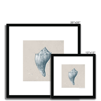 Vintage Conch Shell on Stone Framed Print