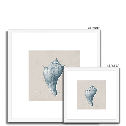 Vintage Conch Shell on Stone Framed Print