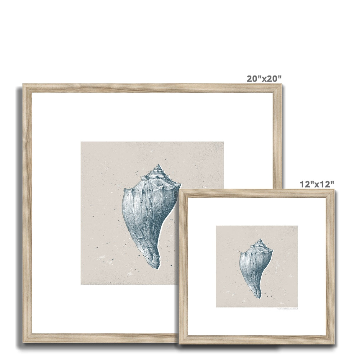 Vintage Conch Shell on Stone Framed Print