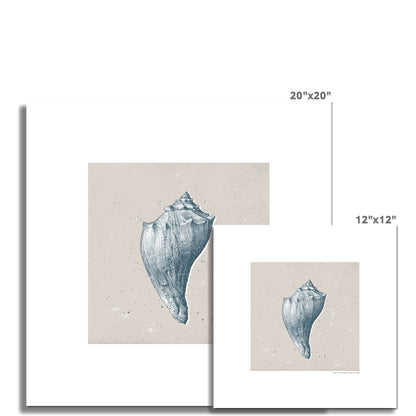 Vintage Conch Shell on Stone Fine Art Print