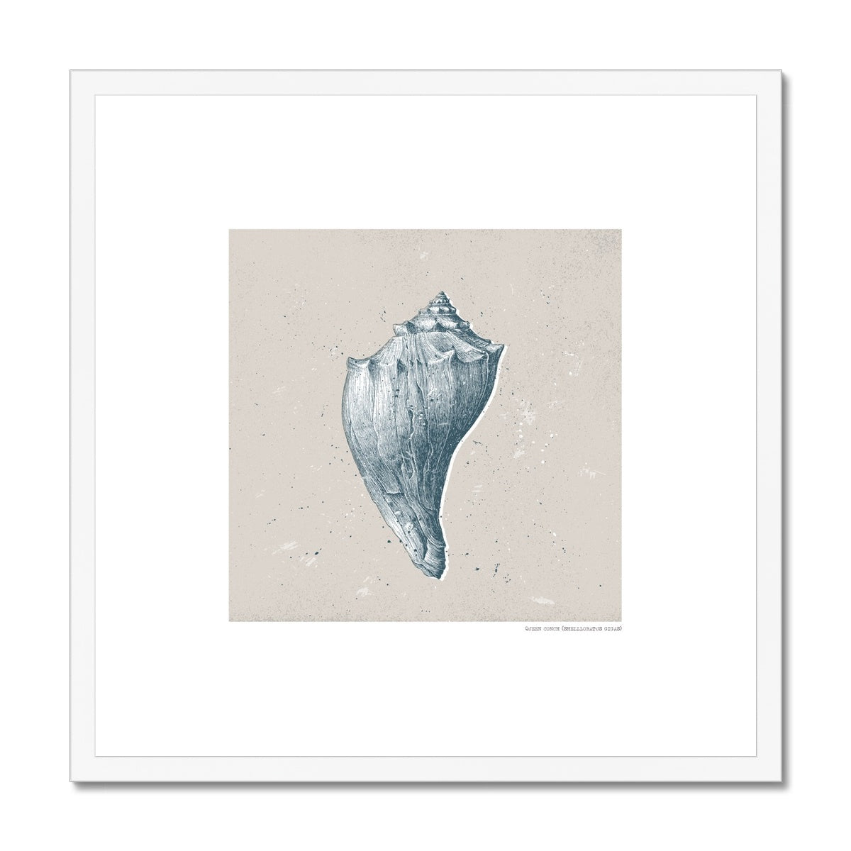 Vintage Conch Shell on Stone Framed Print