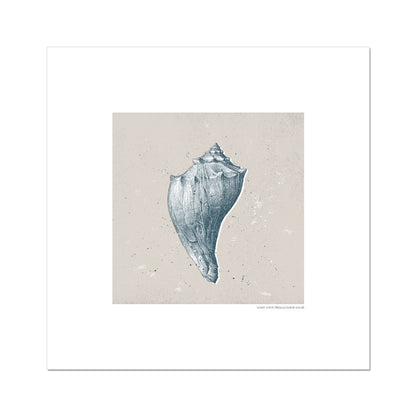 Vintage Conch Shell on Stone Fine Art Print